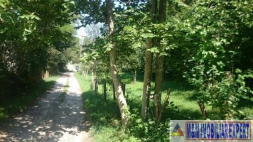 teren-intravilan-de-vanzare-2574-mp-in-apa-sarata-valea-barbusii-campulung-muscel-arges-6