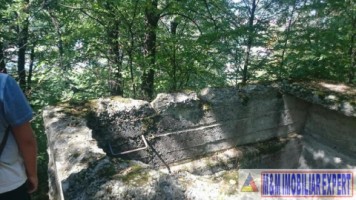 teren-intravilan-de-vanzare-2574-mp-in-apa-sarata-valea-barbusii-campulung-muscel-arges-11