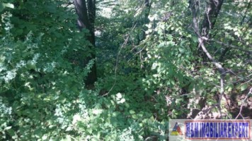 teren-intravilan-de-vanzare-2574-mp-in-apa-sarata-valea-barbusii-campulung-muscel-arges-12