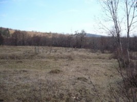 teren-5000-mp-extravilan-de-vanzare-in-leresti-arges-1