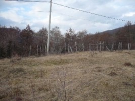 teren-5000-mp-extravilan-de-vanzare-in-leresti-arges-2