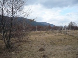 teren-5000-mp-extravilan-de-vanzare-in-leresti-arges-4