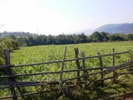 teren-5000-mp-extravilan-de-vanzare-in-leresti-arges-5
