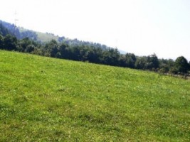 teren-5000-mp-extravilan-de-vanzare-in-leresti-arges-7
