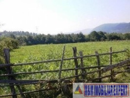 teren-5000-mp-extravilan-de-vanzare-in-leresti-arges-9