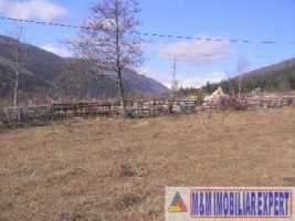 teren-5000-mp-extravilan-de-vanzare-in-leresti-arges-11