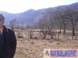 teren-5000-mp-extravilan-de-vanzare-in-leresti-arges-12