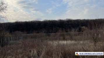teren-intravilan-1100-mp-de-vanzare-in-mogosoaia-ideal-pentru-constructii-rezidentiale