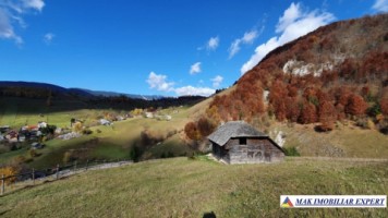 teren-5640-mp-intravilanextravilan-de-vanzare-in-ciocanu-dambovicioara-arges-ideal-pentru-proiecte-turistice-si-agricole-2