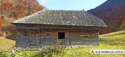 teren-5640-mp-intravilanextravilan-de-vanzare-in-ciocanu-dambovicioara-arges-ideal-pentru-proiecte-turistice-si-agricole-3