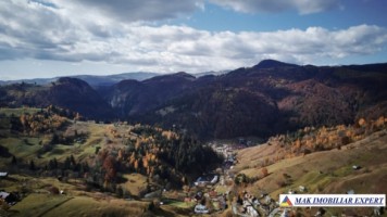 teren-5640-mp-intravilanextravilan-de-vanzare-in-ciocanu-dambovicioara-arges-ideal-pentru-proiecte-turistice-si-agricole-4
