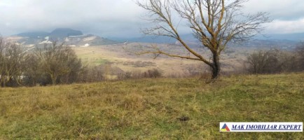 vila-3-camere-cu-teren-5400-mp-in-valea-mare-pravat-arges-ideala-pentru-familie-7
