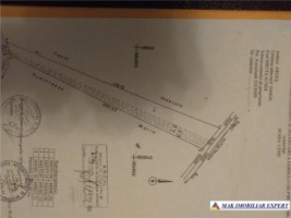 teren-extravilan-16-ha-oarja-arges-aproape-de-a1-ideal-pentru-agricultur-1