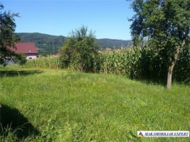 teren-1900-mp-intravilan-de-vanzare-in-furnicosi-mihaesti-arges-ideal-pentru-constructii-rezidentiale-1