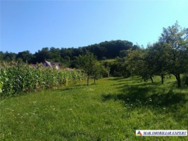 teren-1900-mp-intravilan-de-vanzare-in-furnicosi-mihaesti-arges-ideal-pentru-constructii-rezidentiale-2