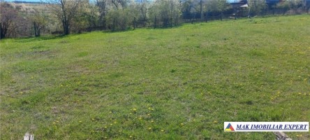 teren-intravilan-158-ha-de-vanzare-in-boteni-ideal-pentru-dezvoltari-rezidentiale-sau-agricole