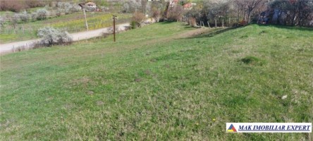 teren-intravilan-158-ha-de-vanzare-in-boteni-ideal-pentru-dezvoltari-rezidentiale-sau-agricole-2