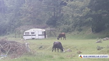teren-extravilan-144-ha-de-vanzare-in-brusturet-dambovicioara-arges-ideal-pentru-proiecte-agricole-si-turistice-1