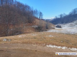 vand-teren-intravilan-2000-mp-in-ciocanu-dambovicioara-arges-11