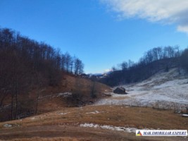 vand-teren-intravilan-2000-mp-in-ciocanu-dambovicioara-arges-12