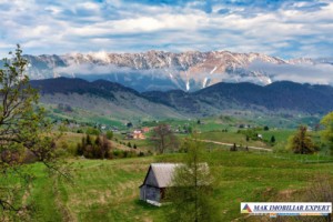 teren-1000-mp-extravilan-de-vanzare-in-fundata-brasov-ideal-pentru-activitati-rurale-1