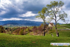 teren-1000-mp-extravilan-de-vanzare-in-fundata-brasov-ideal-pentru-activitati-rurale-2