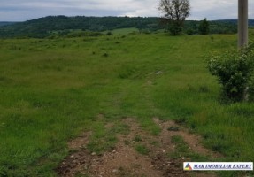 teren-intraextravilan-3-ha-draghici-mihaesti-arges-ideal-pentru-dezvoltare