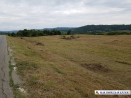 teren-intraextravilan-3-ha-draghici-mihaesti-arges-ideal-pentru-dezvoltare-1