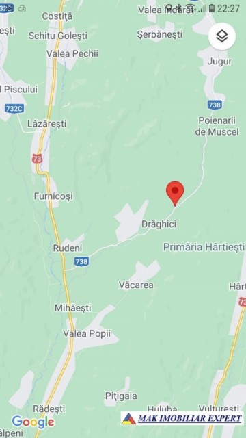 teren-intraextravilan-3-ha-draghici-mihaesti-arges-ideal-pentru-dezvoltare-11