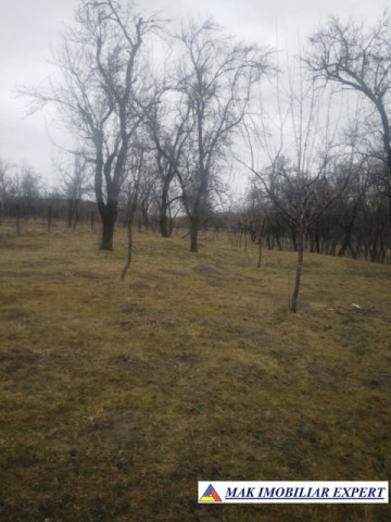 teren-intravilan-2500-mp-poienarii-de-muscel-arges-ideal-pentru-constructii-rezidentiale