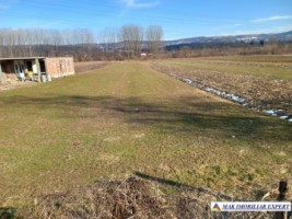 teren-intraextravilan-2500-mp-mihaesti-arges-ideal-pentru-constructii-si-agricultura