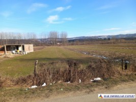 teren-intraextravilan-2500-mp-mihaesti-arges-ideal-pentru-constructii-si-agricultura-2