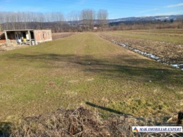 teren-intraextravilan-2500-mp-mihaesti-arges-ideal-pentru-constructii-si-agricultura-1