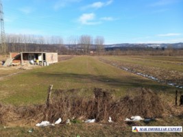 teren-intraextravilan-2500-mp-mihaesti-arges-ideal-pentru-constructii-si-agricultura-3