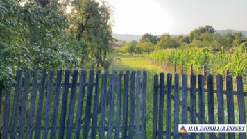 teren-intravilan-2550-mp-de-vanzare-stalpeni-arges-pentru-constructii-rezidentiale-sau-de-vacanta