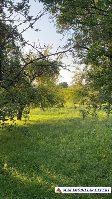 teren-intravilan-2550-mp-de-vanzare-stalpeni-arges-pentru-constructii-rezidentiale-sau-de-vacanta-1