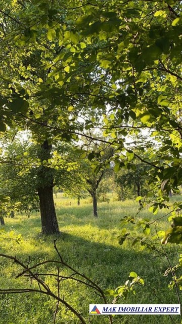 teren-intravilan-2550-mp-de-vanzare-stalpeni-arges-pentru-constructii-rezidentiale-sau-de-vacanta-2