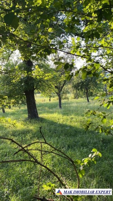 teren-intravilan-2550-mp-de-vanzare-stalpeni-arges-pentru-constructii-rezidentiale-sau-de-vacanta-3