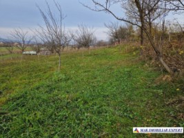 teren-intravilan-2500-mp-de-vanzare-stalpeni-arges-pentru-constructii-rezidentiale-sau-de-vacanta