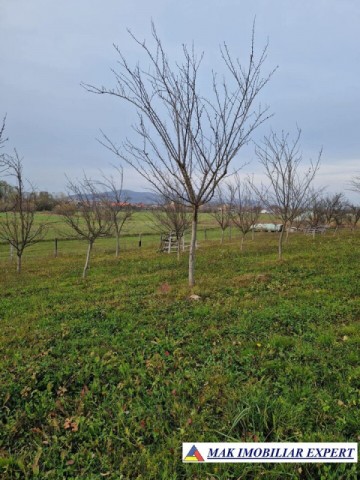 teren-intravilan-2500-mp-de-vanzare-stalpeni-arges-pentru-constructii-rezidentiale-sau-de-vacanta-2