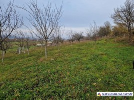 teren-intravilan-2500-mp-de-vanzare-stalpeni-arges-pentru-constructii-rezidentiale-sau-de-vacanta-3