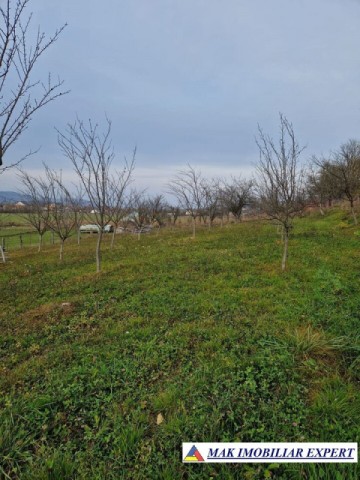 teren-intravilan-2500-mp-de-vanzare-stalpeni-arges-pentru-constructii-rezidentiale-sau-de-vacanta-1