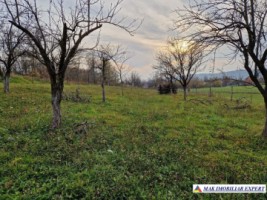 teren-intravilan-2500-mp-de-vanzare-stalpeni-arges-pentru-constructii-rezidentiale-sau-de-vacanta-4