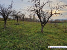 teren-intravilan-2500-mp-de-vanzare-stalpeni-arges-pentru-constructii-rezidentiale-sau-de-vacanta-6