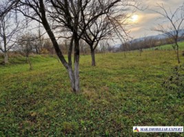teren-intravilan-2500-mp-de-vanzare-stalpeni-arges-pentru-constructii-rezidentiale-sau-de-vacanta-5
