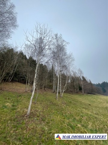 vand-teren-intravilan-5000-mp-leresti-arges