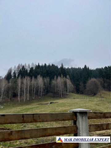 vand-teren-intravilan-5000-mp-leresti-arges-1