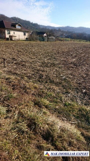 teren-intraextravilan-4550-mp-valea-popii-mihaesti-arges-ideal-pentru-constructii-si-agricultura-1