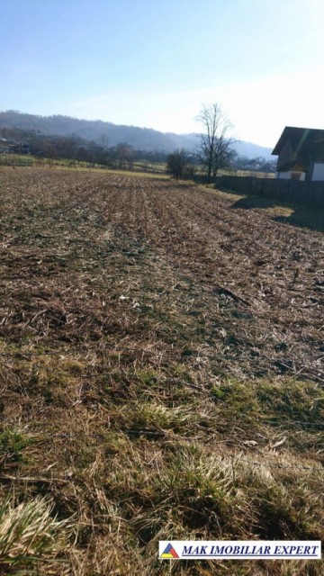 teren-intraextravilan-4550-mp-valea-popii-mihaesti-arges-ideal-pentru-constructii-si-agricultura