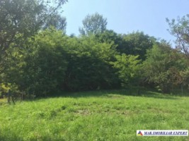 teren-intra-extravilan-4000-mp-in-apa-sarata-campulung-muscel-1
